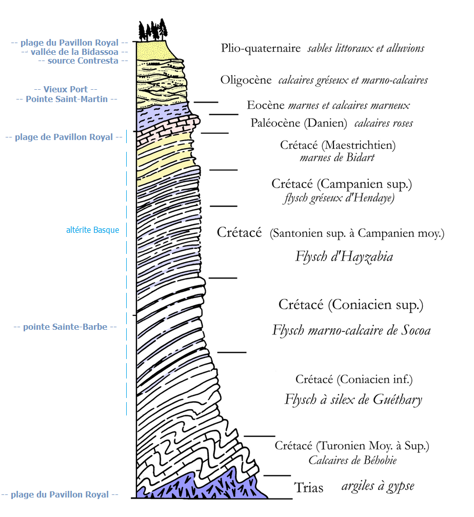 Log stratigraphique des formations affleurantes de la Côte Basque
SIGES
Log stratigraphique des formations affleurantes de la Côte Basque