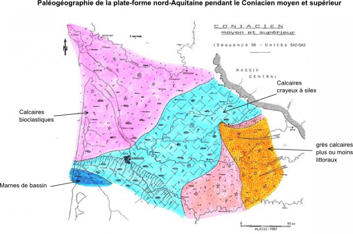 Paléogéographie de la plate-forme nord-Aquitaine pendant le Coniacien moyen et supérieur
BRGM
Paléogéographie de la plate-forme nord-Aquitaine pendant le Coniacien moyen et supérieur