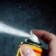 Insecticide