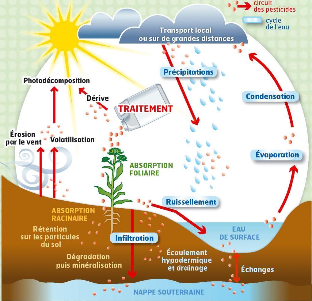 Schéma du circuit des pesticides dans l’environnement
lien horticole
circuit pesticides