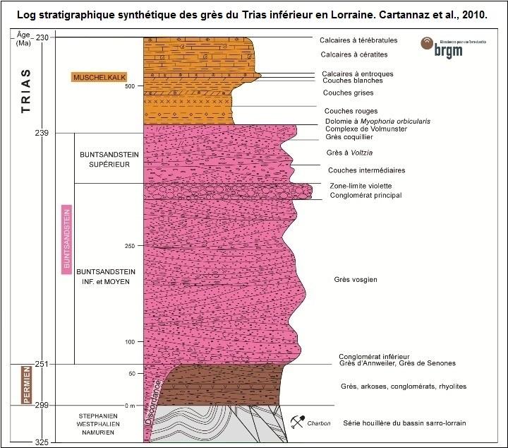 Log stratigraphique synthétique des grès du Trias inférieur en Lorraine (BRGM - Cartannaz et al., 2010).