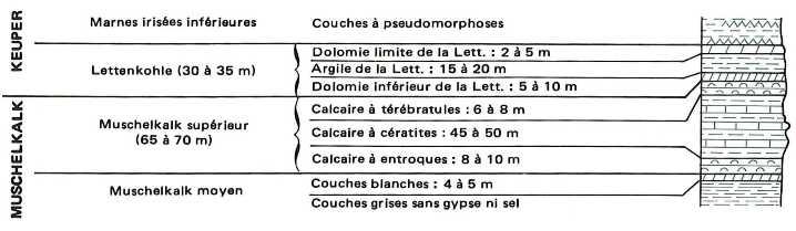Log lithostratigraphique schématique des systèmes aquifères du Muschelkalk et de la Lettenkohle (extrait de Maïaux, in BRGM,1980)