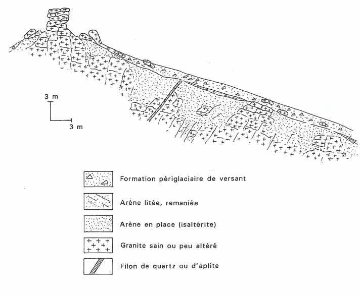 Coupe typique dans les arènes sur la partie haute d'un versant vosgien (Ménillet  F., 1995)