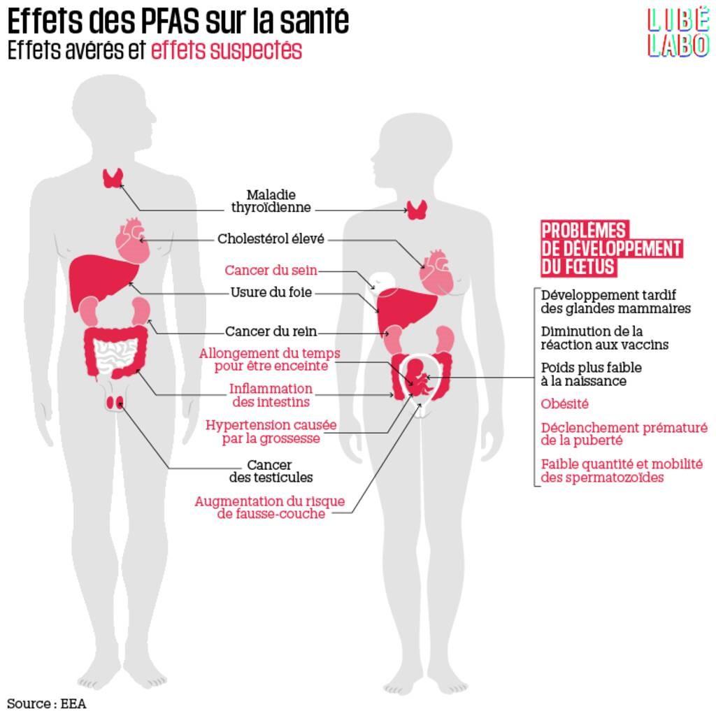 Effets PFAS