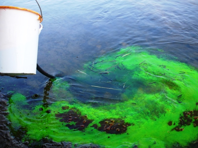 Injection d’un traceur fluorescent en cours d’eau (source : CETRAHE)