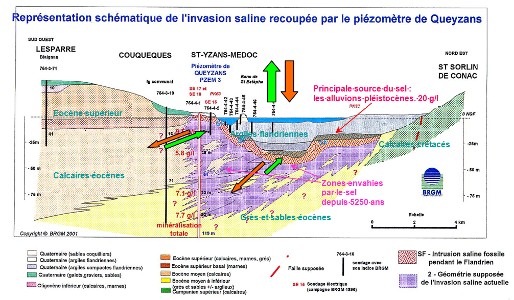 Schéma expliquant l’invasion saline dans les nappes de l’Eocène, en relation avec le niveau de la marée, en bordure du Médoc, au niveau de Saint-Yzans
SIGES
Schéma expliquant l’invasion saline dans les nappes de l’Eocène, en relation avec le niveau de la marée, en bordure du Médoc, au niveau de Saint-Yzans