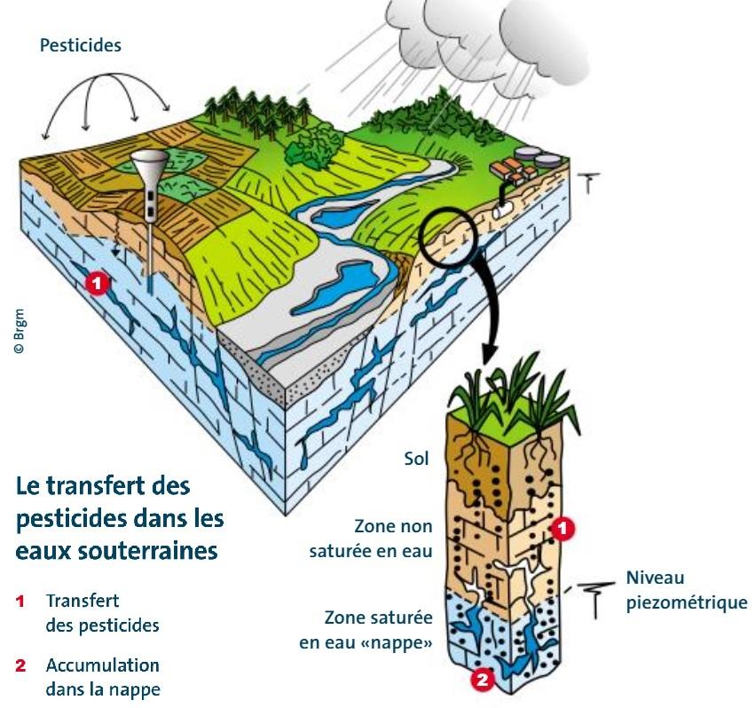 Transfert des pesticides dans les eaux souterraines
/
pesticides_eauxsout