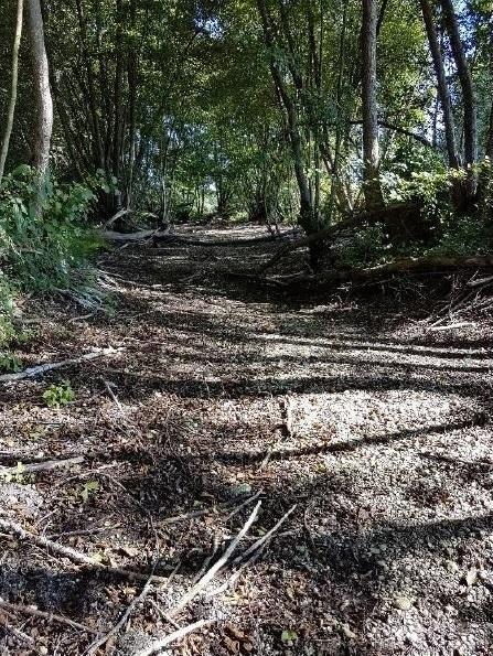 Rivière du Neugraben en assec (05/09/2019)