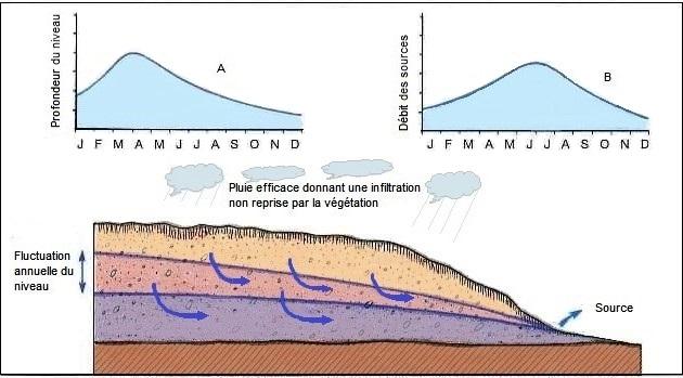 La recharge par les pluies provoque la remontée des niveaux des nappes (A) et l’augmentation saisonnière du débit des sources (B)