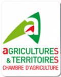 logo_ca.png 