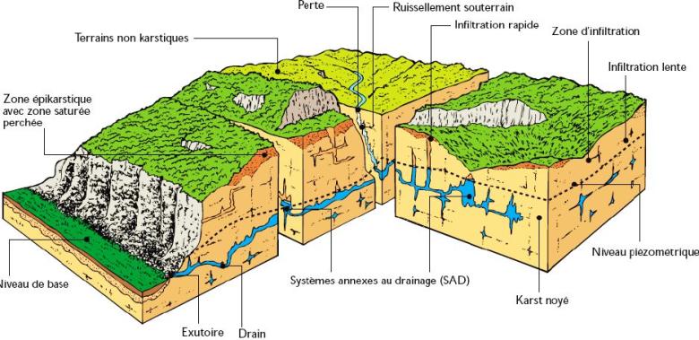 Représentation schématique d’un aquifère karstique
Agence de l’eau Rhône Méditerranée Corse, d’après Mangin 1975
Représentation schématique d’un aquifère karstique