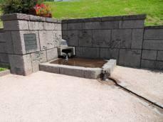 Source de la Moselle