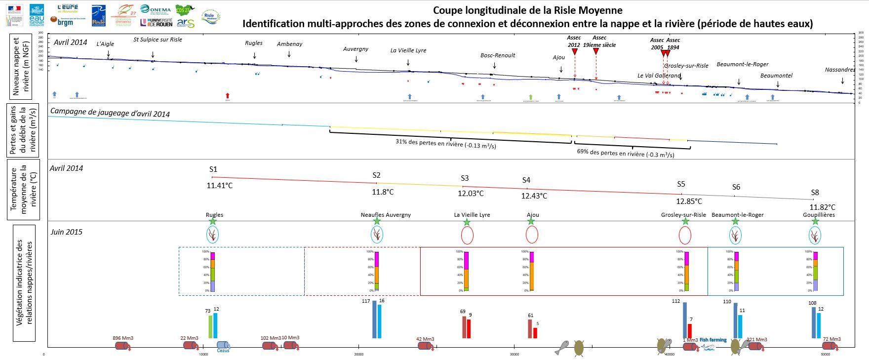 Coupe longitudinale de synthèse : identification des zones de connexion/déconnexion de la nappe et de la rivière en période de hautes-eaux