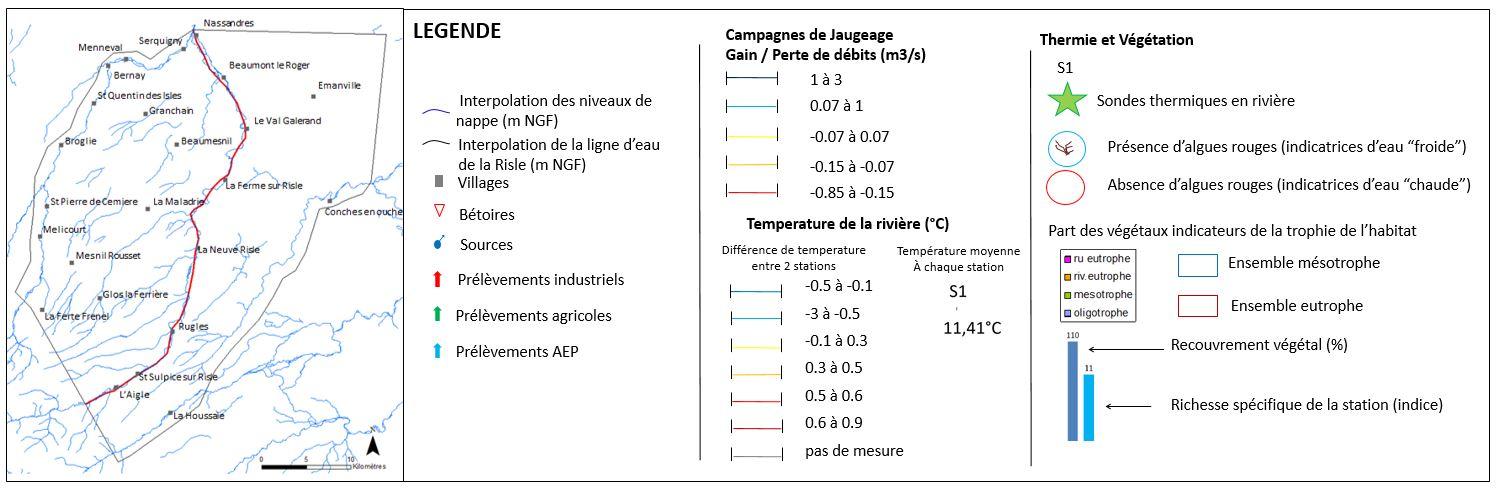 Légende de la coupe longitudinale de synthèse