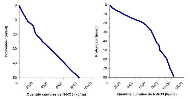 Quantités cumulées d’azote en fonction de la profondeur à Goderville (gauche) et Mousseaux-Neuville (droite) (Arnaud, 2009)