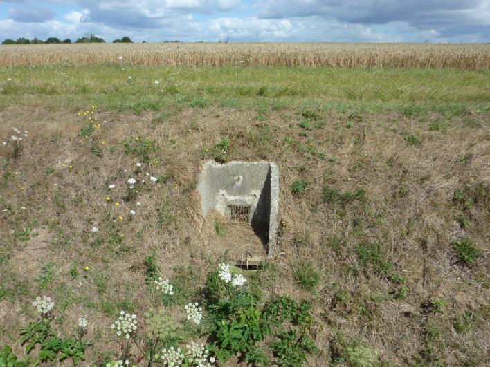 Unité de connexion (il s’agit ici d’une bouche de décharge) en sortie d’une unité drainée vers le réseau de collecte public