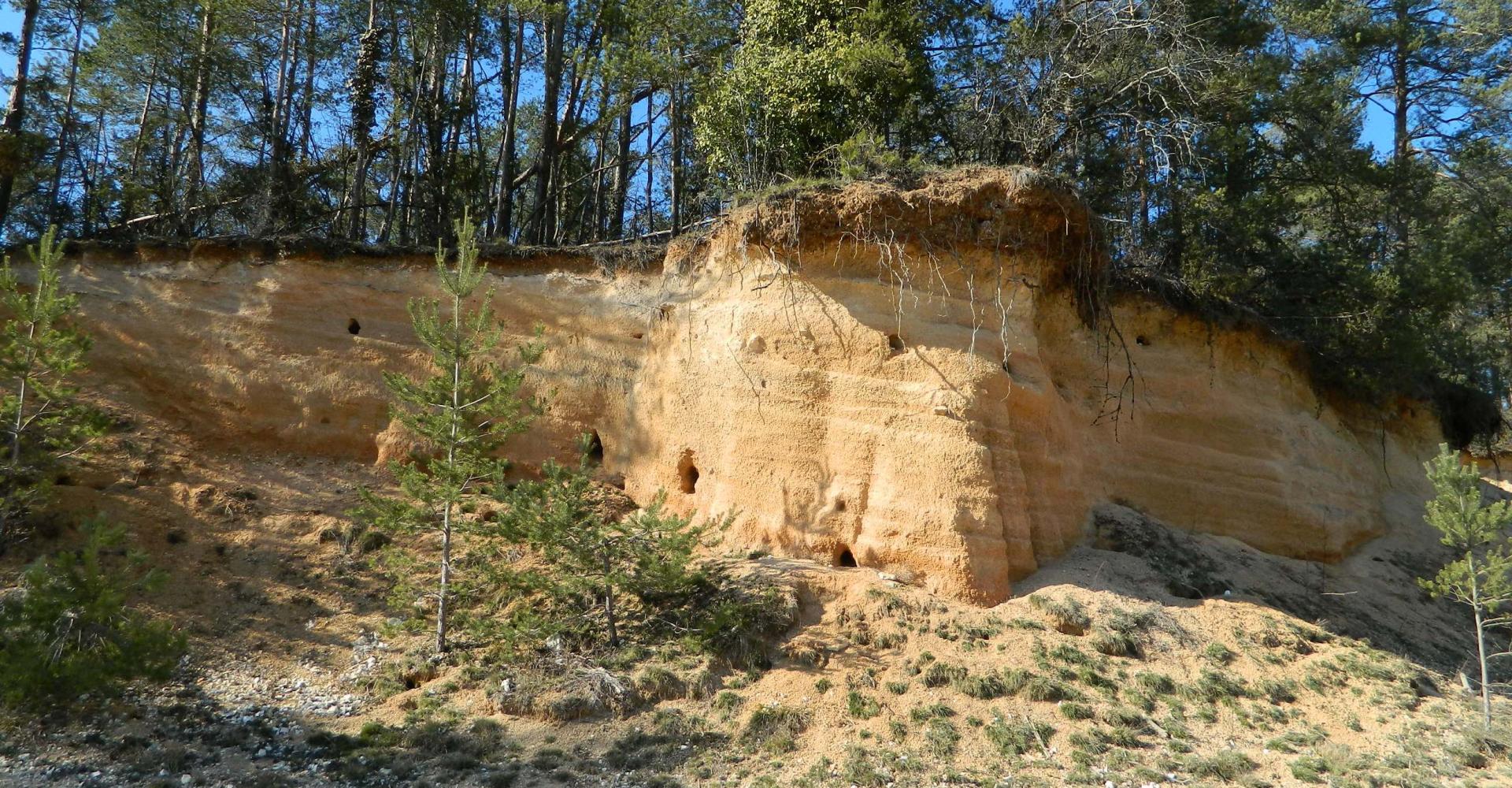Figure 1 - Affleurement dans la petite carrière des Chauzes