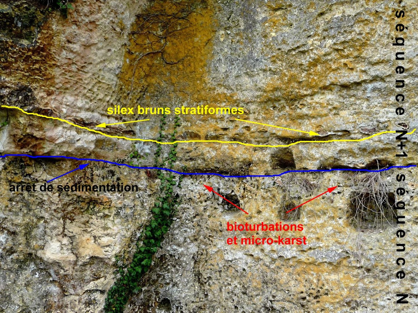 Figure 1 - Affleurement de la Formation de Lalinde - Campsegret