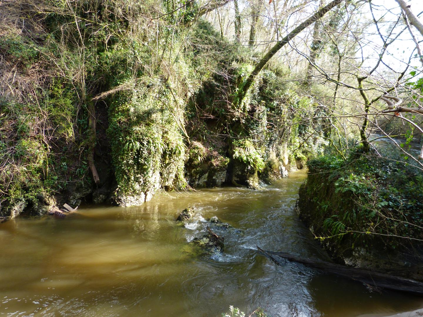 Figure 1 - Falaise de calcaires dolomitisés, très recristallisés, du Cénomanien moyen, bordant l'Estampon entre le moulin de Cousseilhat et le secteur sous l'allée de Champagne (Platel JP., 2014)