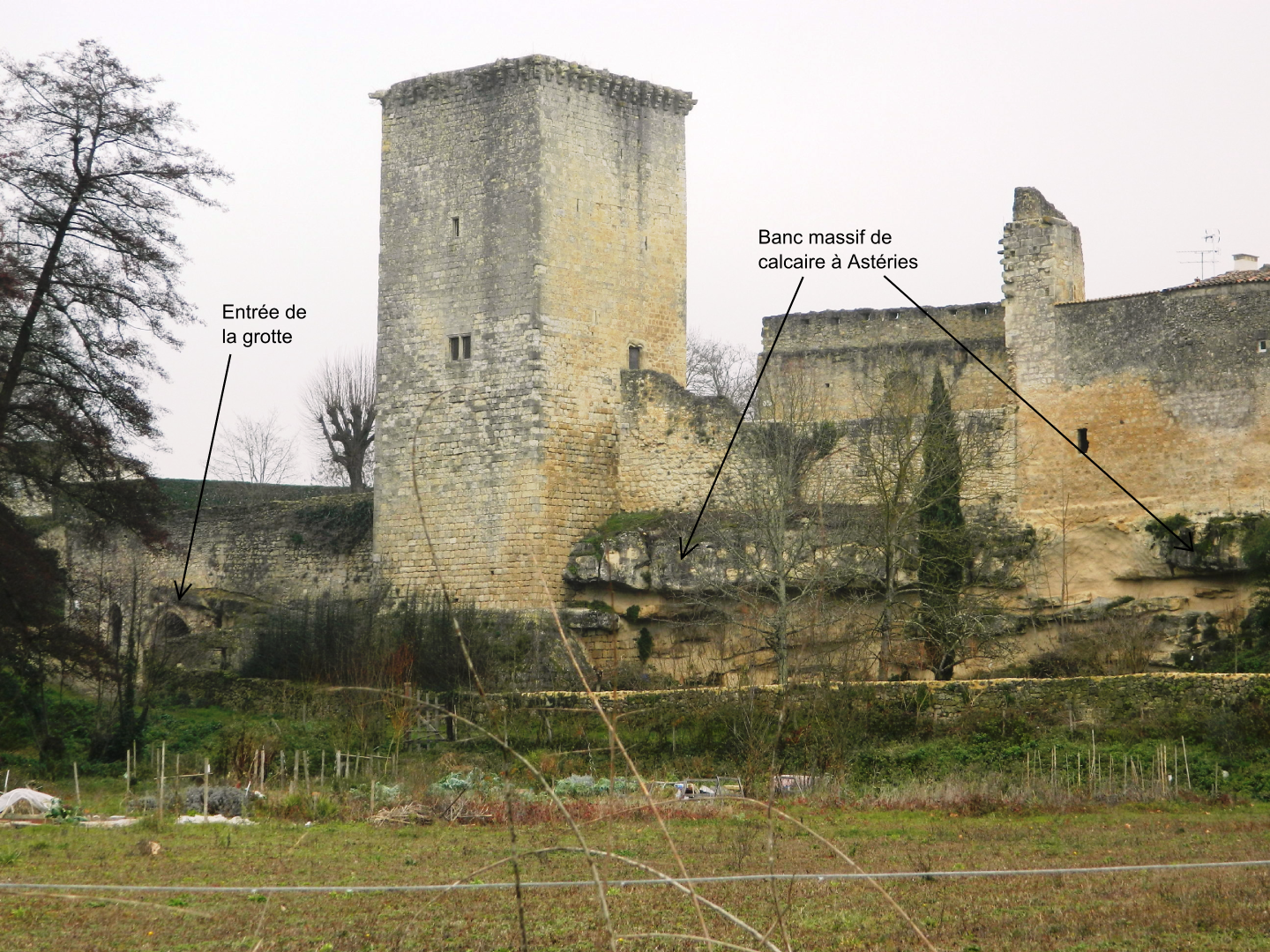 Figure 1 - La citadelle de Rions sur les calcaires à Astéries (© Galey A., BRGM, 2012)