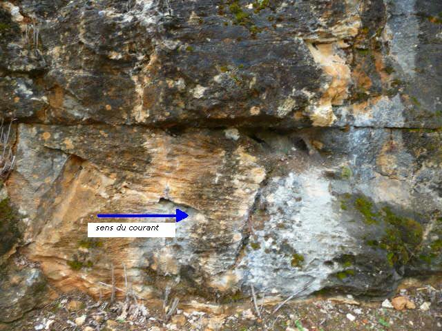 Figure 1 - Mégaride dans les calcaires bioclastiques du Coniacien (Platel JP., 2013)