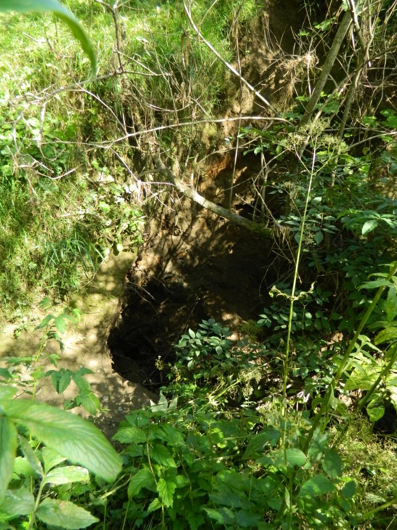 Figure 1 - Perte de l'Arriou Tort à proximité des calcaires mésozoïques (Gutierrez T., 2013)