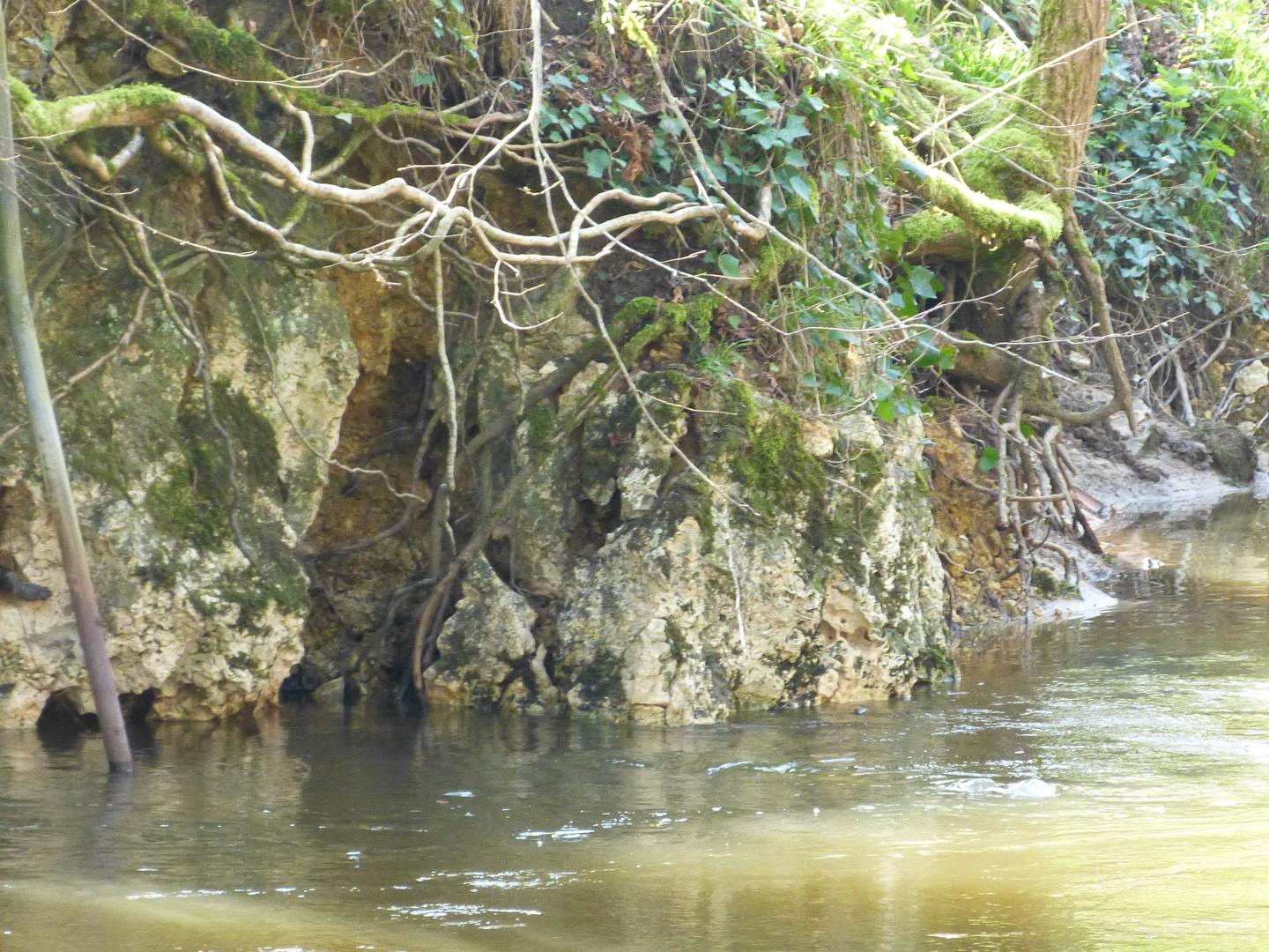 Figure 1 - Petite falaise de calcaires dolomitiques du Cénomanien moyen à Betgoua (Platel JP., 2014)