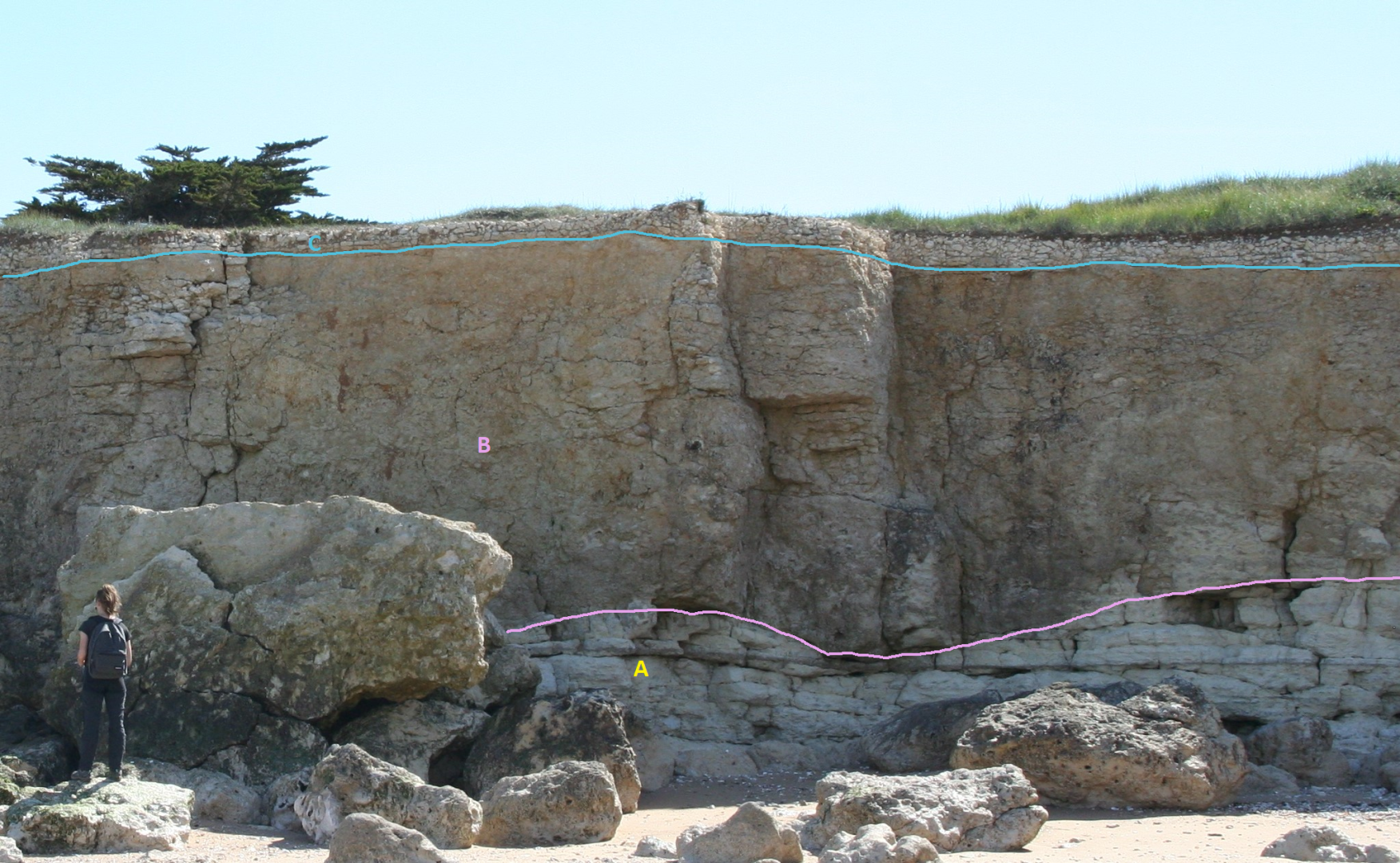 Figure 1 - Photo de l'affleurement de la pointe de la Barbette (© BRGM,2023)