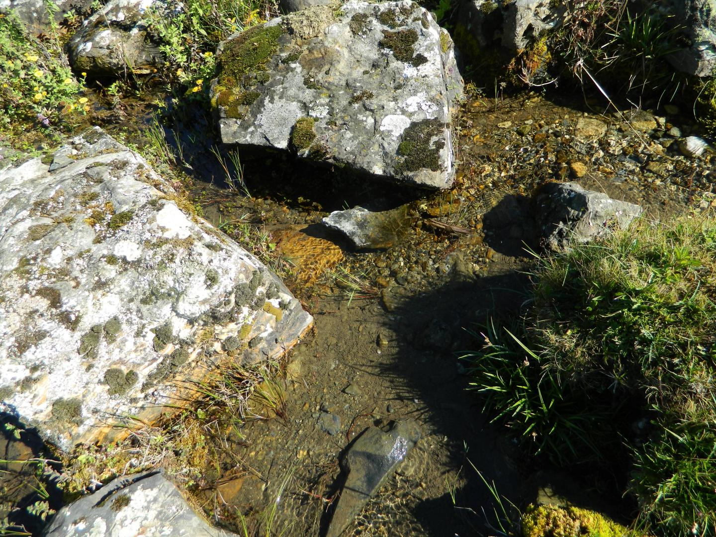 Figure 1 - Source sud du site d'Houndas (Gutierrez T., 2013)