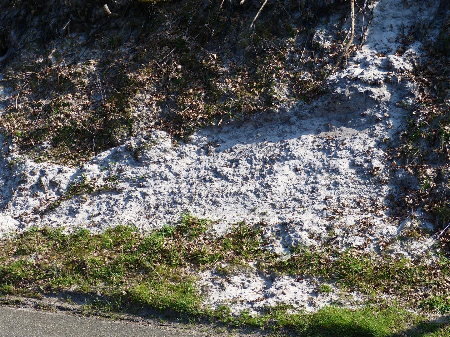 Figure 1 - Talus de sable gris-blanc de la Formation de Castets (Platel JP., 2014)