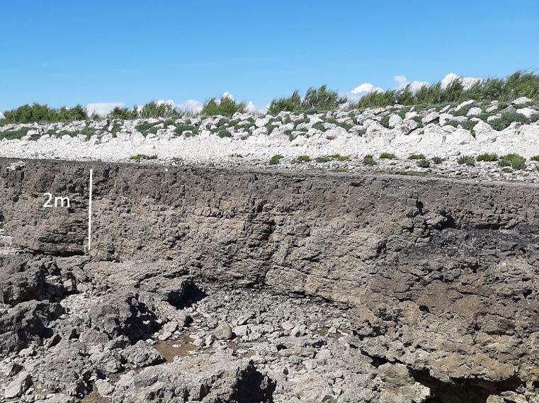 Figure 1 - Vue générale d'une séquence de la couche B3 (© BRGM,2023)