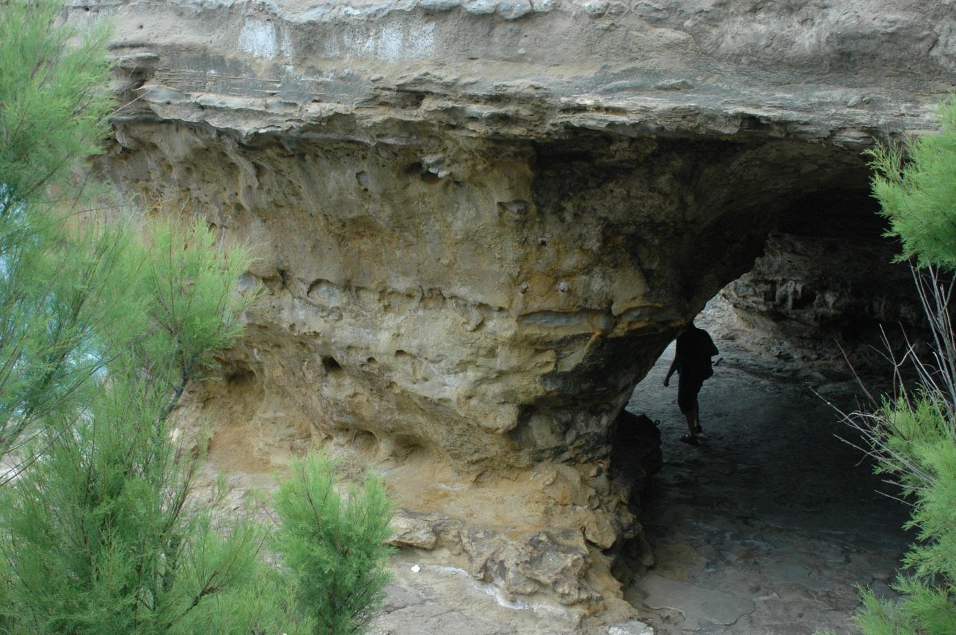 Figure 2 - Affleurement des calcaires gréseux à la Pointe Saint-Martin - Biarritz