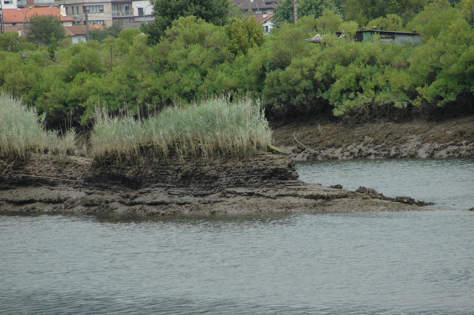 Figure 2 - Banc d'alluvions stratifiées (quartier des Joncaux, près de la station d'épuration - Hendaye)