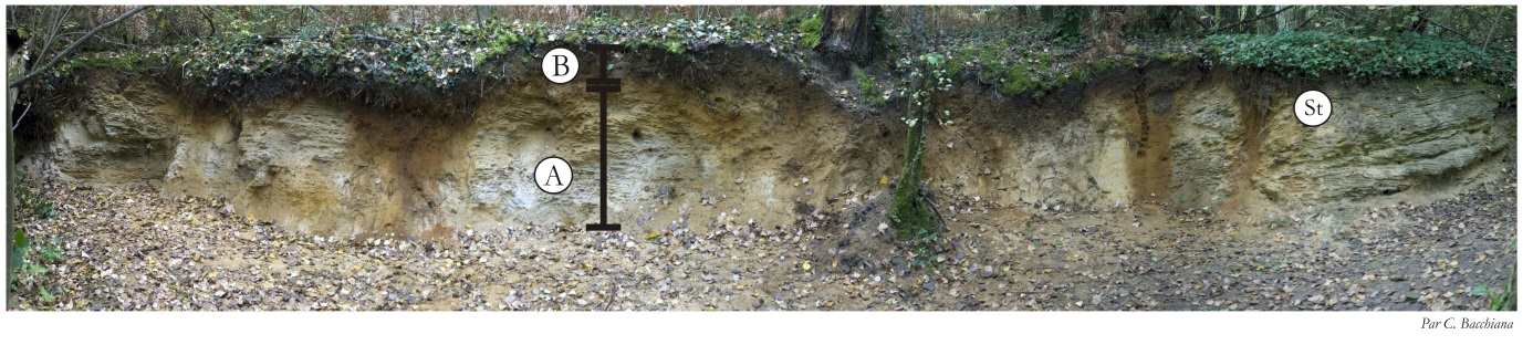 Figure 2 - Coupe en amont du moulin de Bernachon (©Bacchiana)