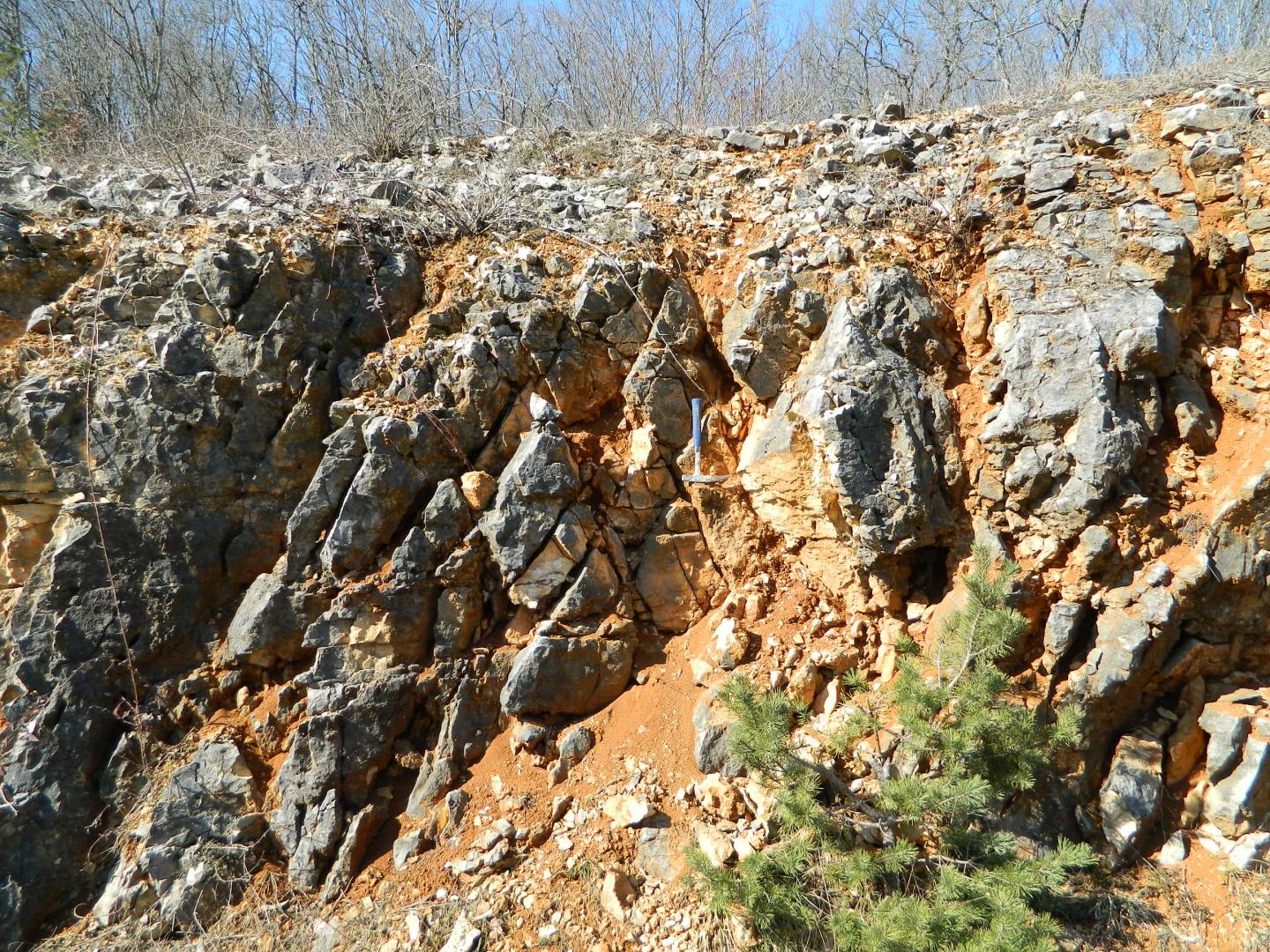 Figure 2 - Fractures dans l'Oxfordien