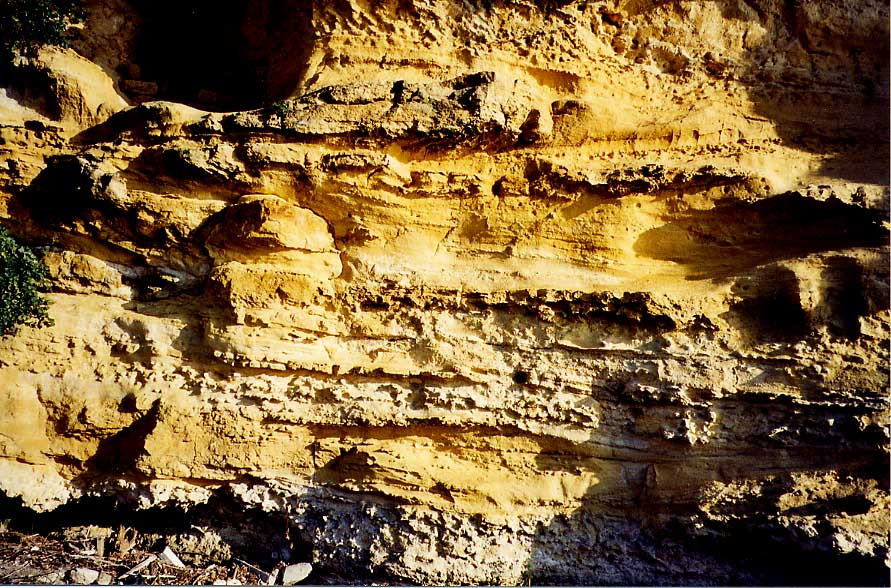 Figure 2 - Organisation de la sédimentation chenalisante des calcaires silicoclastiques de l'Eocène moyen (© Platel JP., 2015)