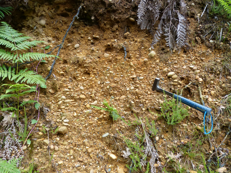 Figure 2 - Partie d'un chenal à galets polygéniques des alluvions de la haute terrasse (© Platel JP., 2015)