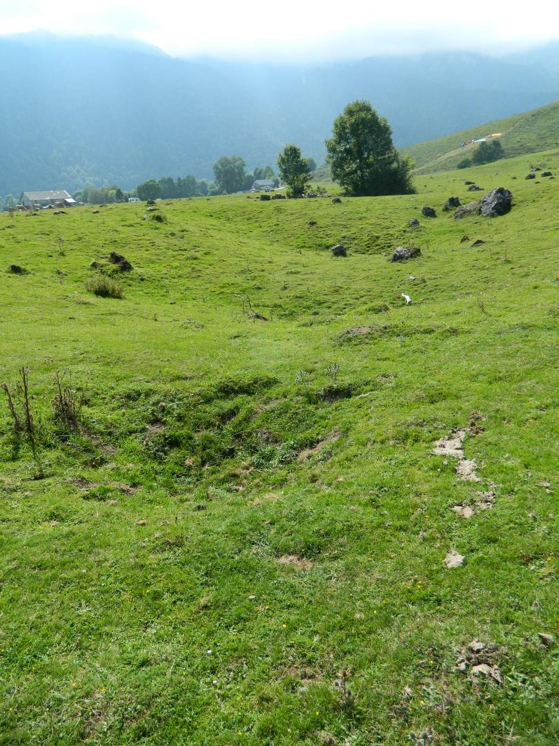 Figure 3 - Alignement de dolines sur le plateau de Benou (Gutierrez T., 2013)