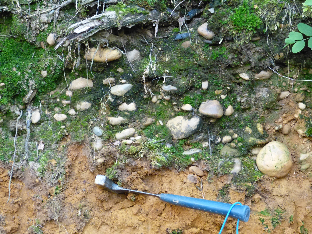 Figure 3 - Galets siliceux de la base des alluvions de haut niveau (© Platel JP., 2015)