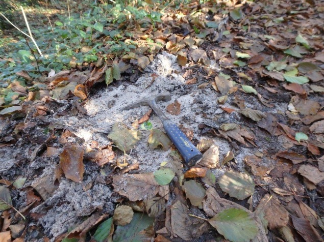 Figure 3 - Sable des Landes (©Bourbon P., 2017)