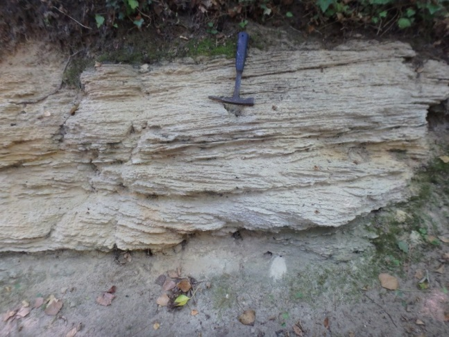 Figure 3 - Stratifications obliques de l'Aquitanien (©Bourbon P., 2017)