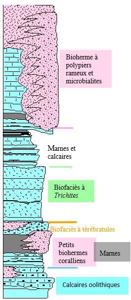 Figure 4 - Log de la Pointe du Chay (© BRGM, 2023)