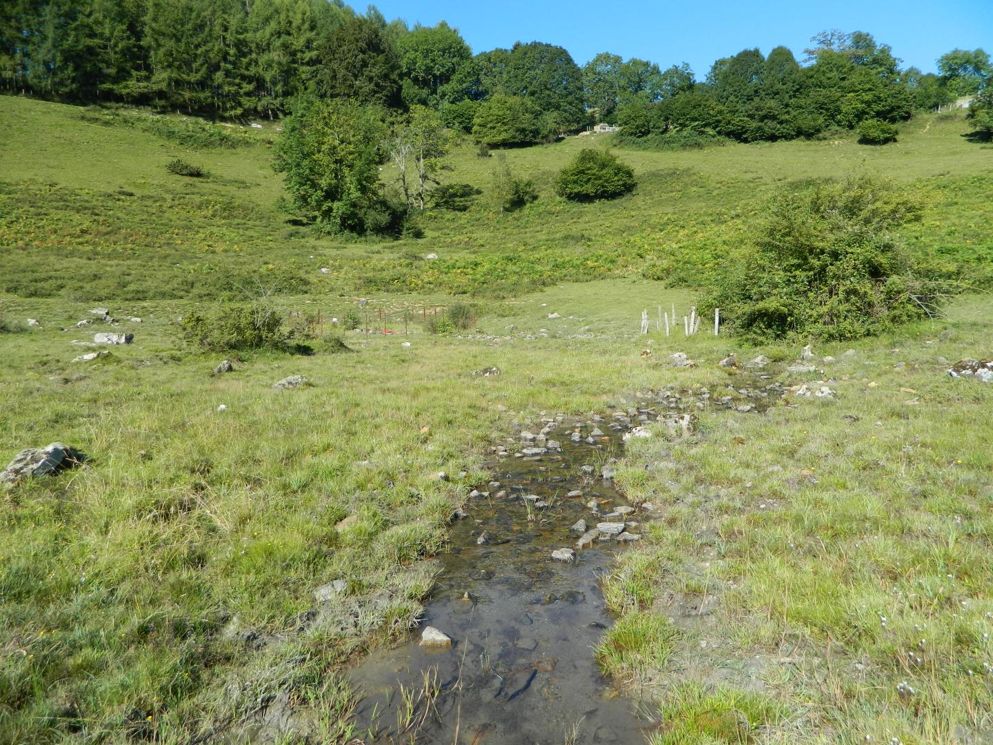 Figure 4 - Source soulignée par des broussailles (Gutierrez T., 2013)