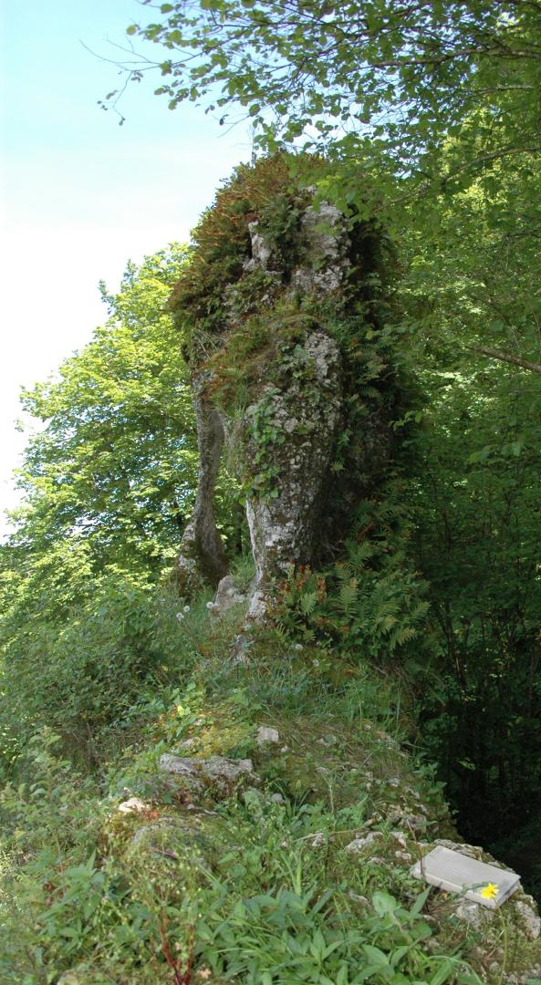 Figure 5 - « Oeil du Hibou » sur le Mur de Bédat