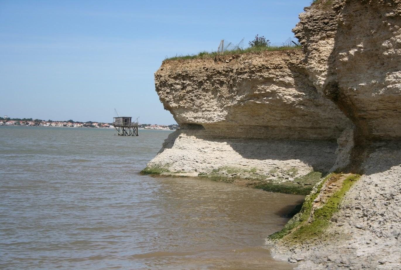 Figure 6 - Photo d'une source sur l'affleurement au nord de la passe aux Filles (© BRGM,2023)