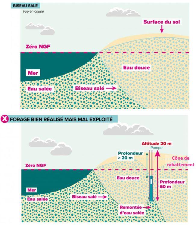 Figure 9 - Schéma explicatif du phénomène de biseau salé ((c) SIGES Bretagne)