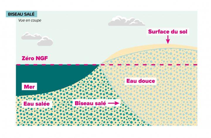 Biseau salé (Plaquette Forages en milieu littoral - Préconisations pour la réalisation et l’exploitation – Région Bretagne (octobre 2022) © DREAL Bretagne et BRGM)